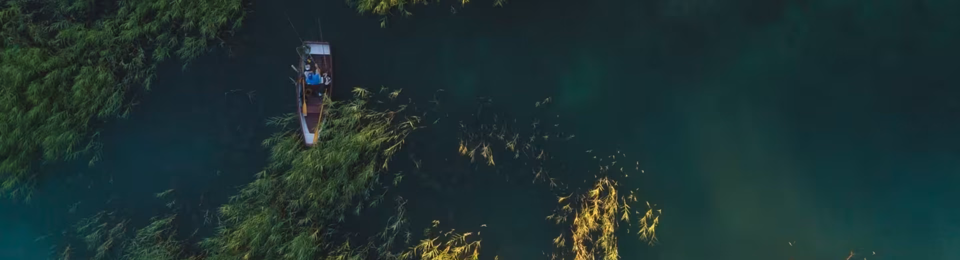 Wij voorspellen de economische toekomst