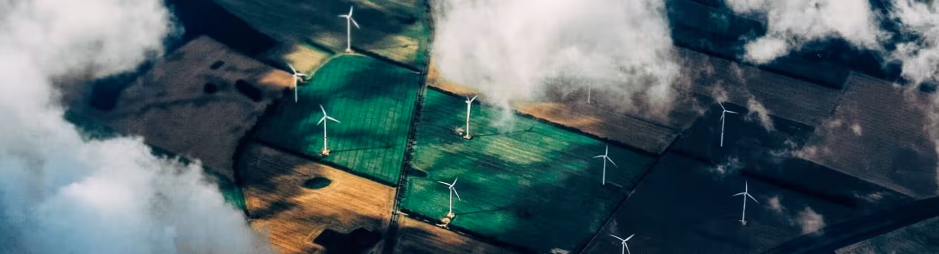 Gespecialiseerde diensten wereldwijd