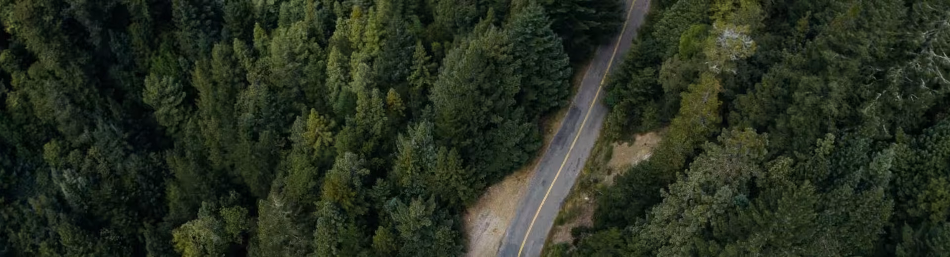 Lokale werking, globale aanwezigheid